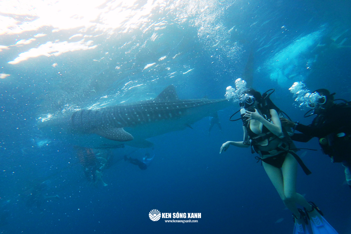 Du lịch Cebu Philippines
