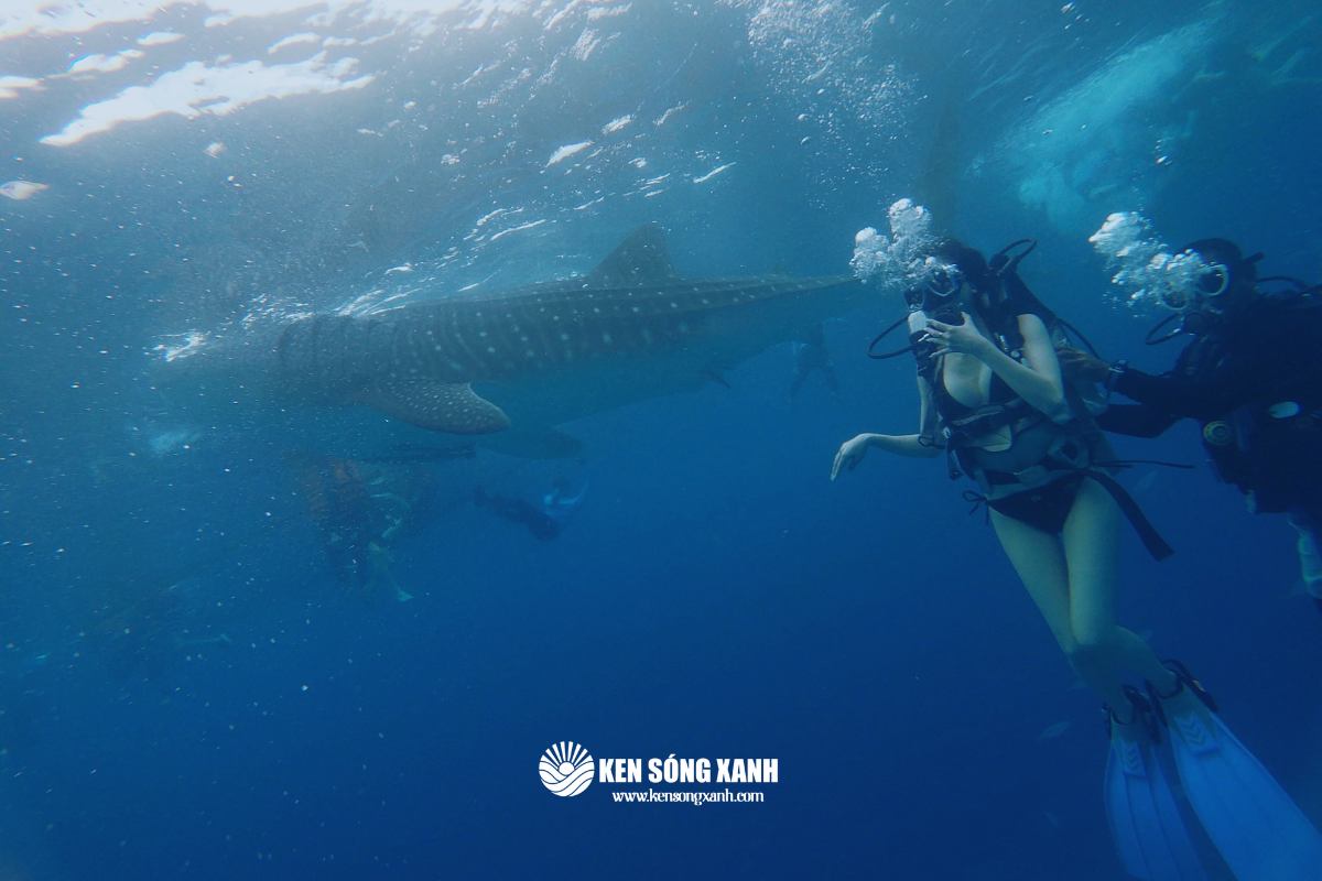 bãi biển đẹp ở Philippines Oslob Cebu