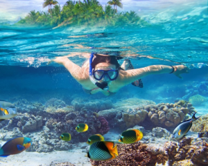 Tour Du Lịch Cebu & Bohol 6 Ngày 5 Đêm - Những Viên Ngọc Xanh Của Philippines