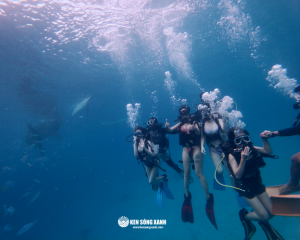 Tour Cebu Philippines 3 Ngày 2 Đêm - Đảo Đẹp Top 10 Thế Giới