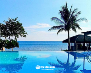 Thiên Đường Nghỉ Dưỡng Bãi Cọ Beach - Tour Du Lịch Philippines 2 Ngày 1 Đêm Khách Nào Cũng Mê